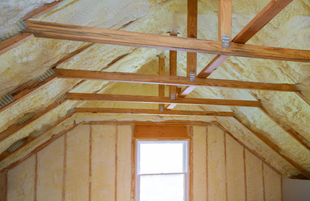 Best Eco-Friendly Insulation in Lakeshire, MO