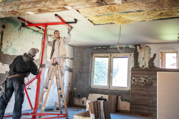 Best Spray Foam Insulation in Lakeshire, MO