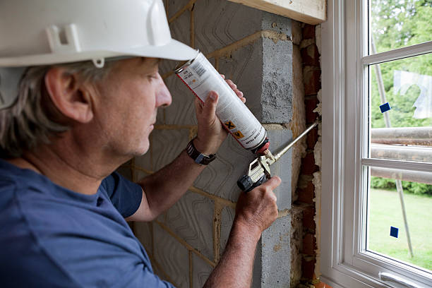 Best Residential Insulation in Lakeshire, MO