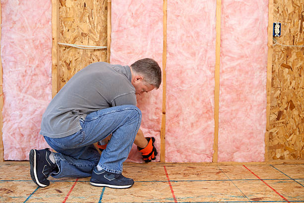 Best Geographic-Specific Insulation Services in Lakeshire, MO