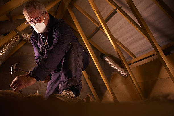Best Insulation Maintenance and Repair in Lakeshire, MO